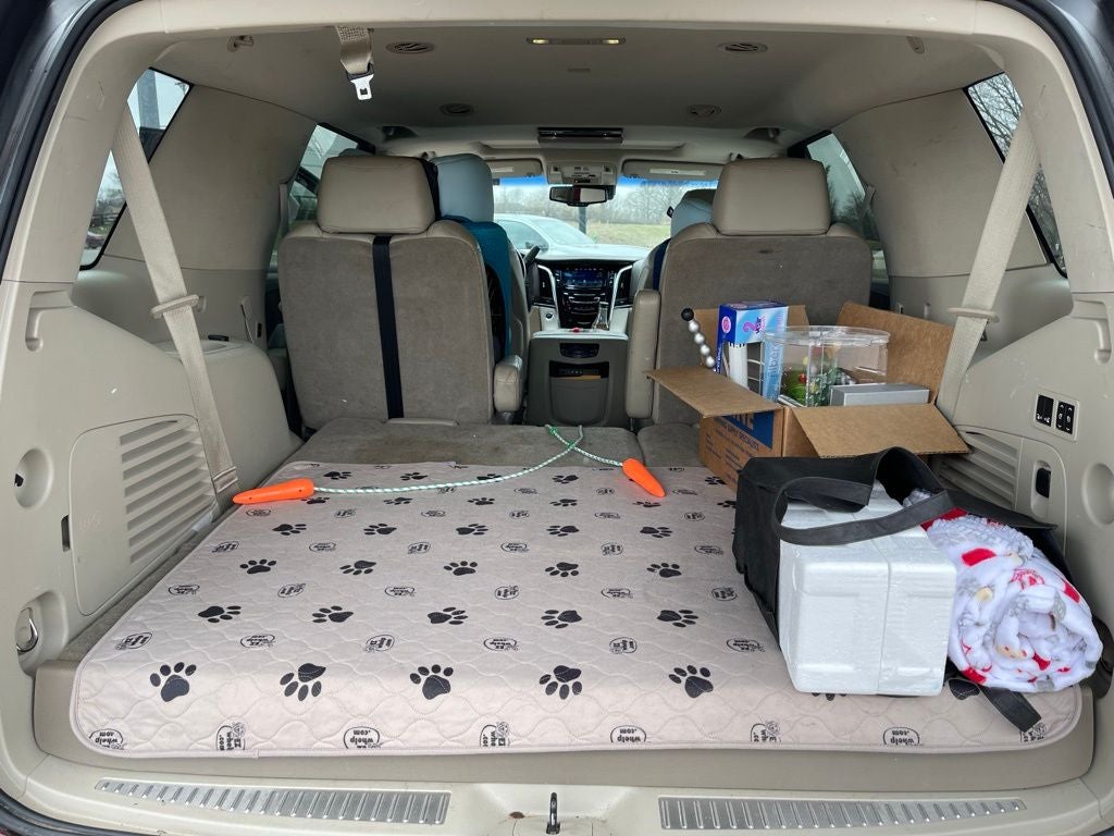 2016 Cadillac Escalade Luxury