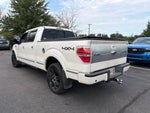2011 Ford F-150 Platinum
