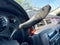 2009 GMC Sierra 2500HD SLT