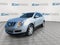 2013 Cadillac SRX Luxury
