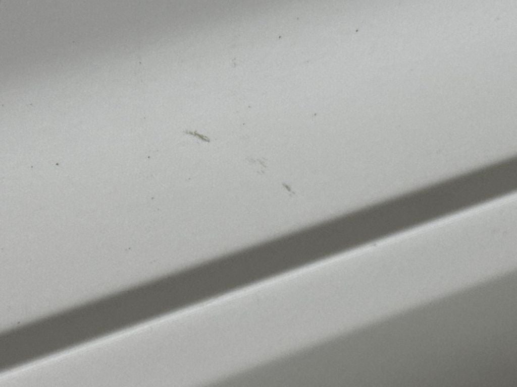 2010 Ford Explorer Limited