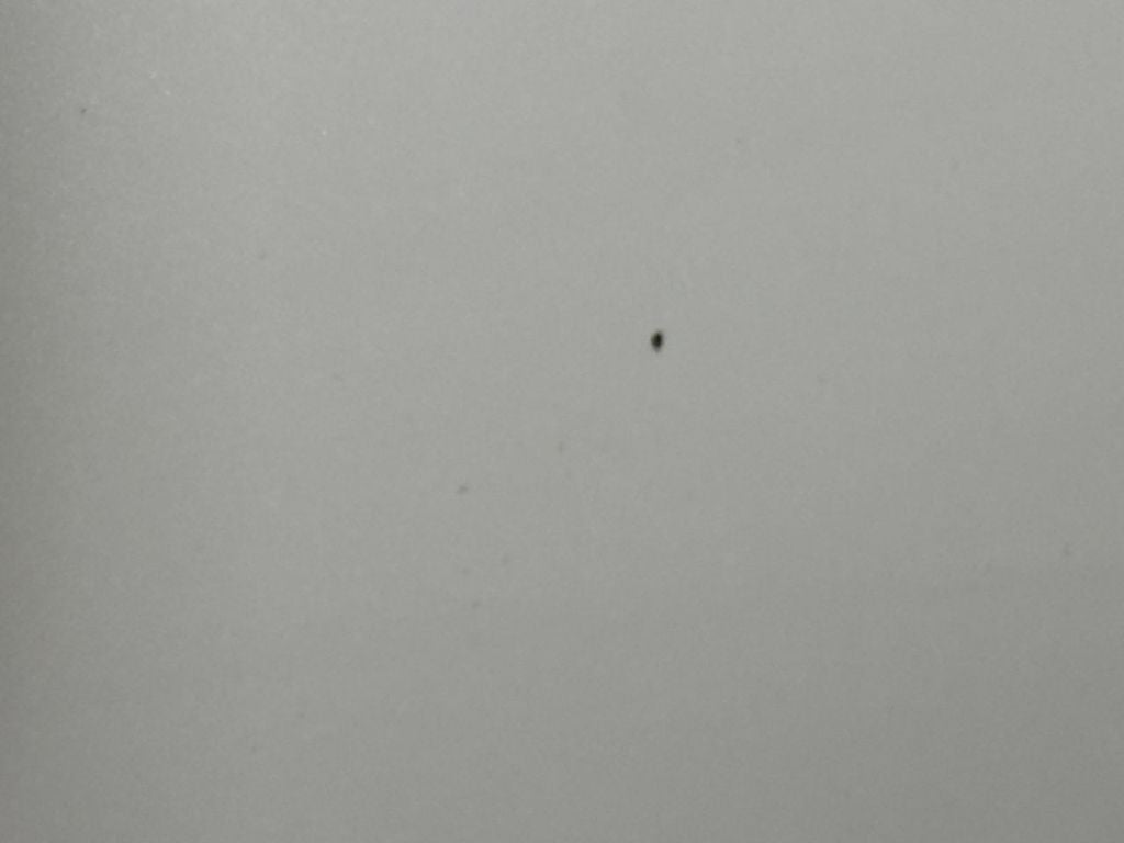 2010 Ford Explorer Limited