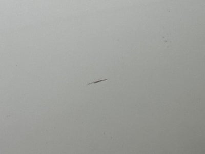 2013 Lincoln MKX Base