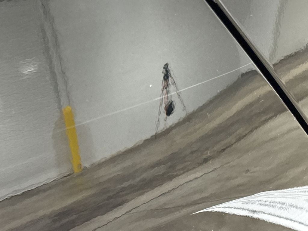 2017 Mercedes-Benz C-Class C 300