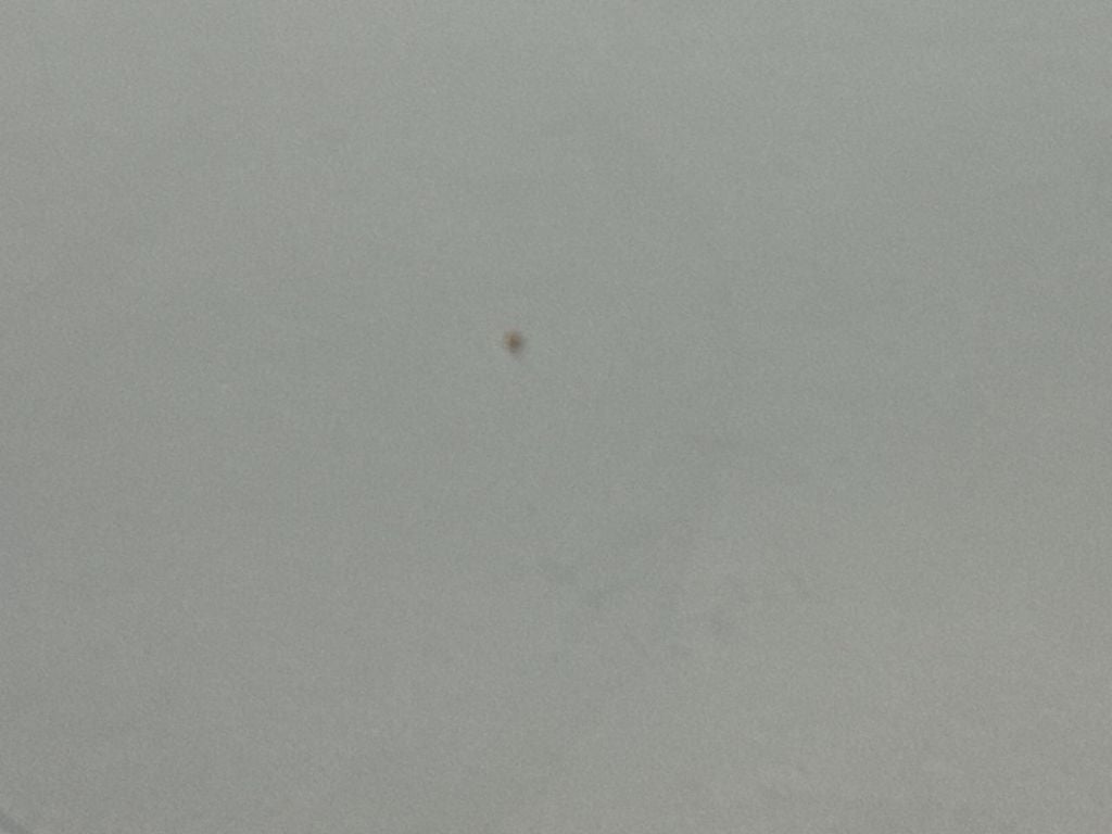 2016 Toyota Sienna L